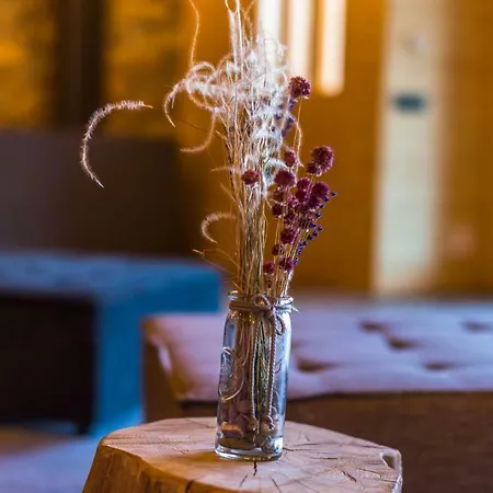 Cal Rossa De Appartement Taus