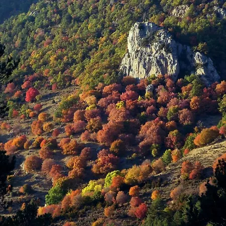 Cal Rossa De Taus